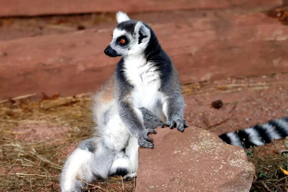 Zoo Jihlava