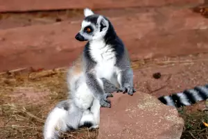 Zoo Jihlava