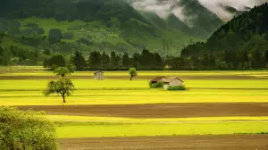 Levandulová Farma Starovičky