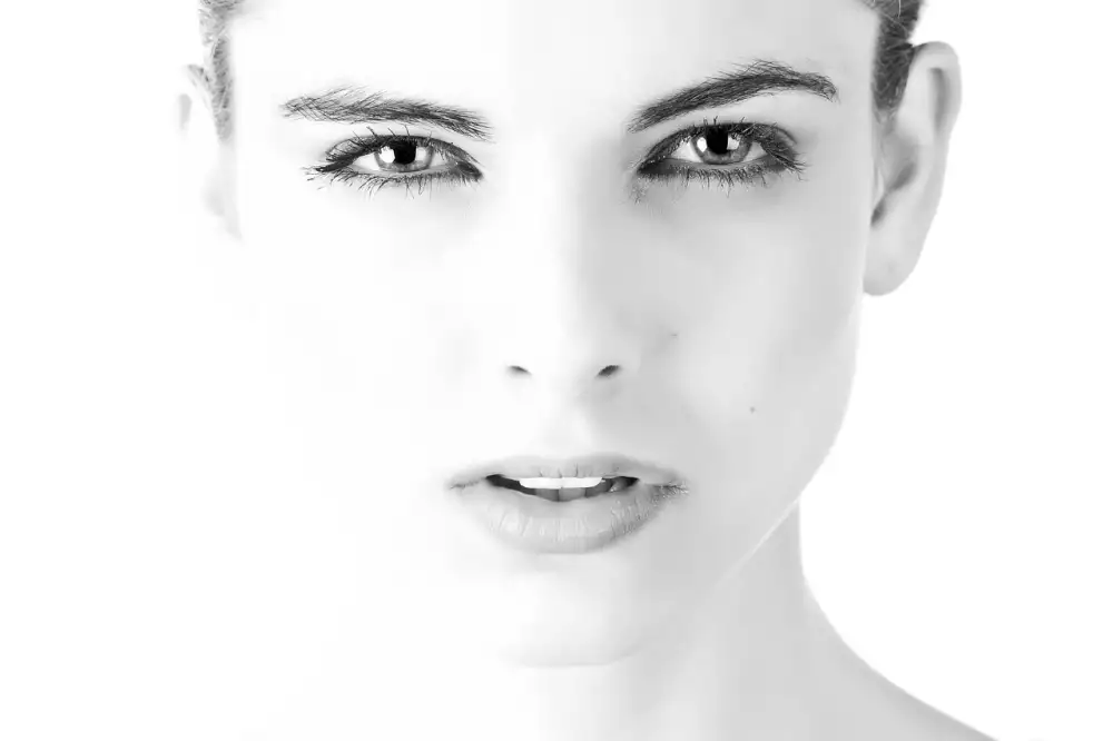 Molusky Foto