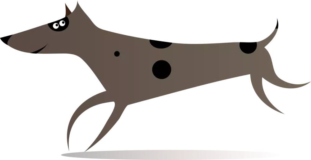 Kříženec Štěně