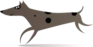 Kříženec Štěně