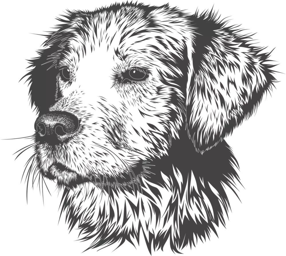 Mopsík