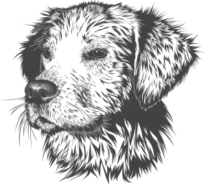 Mopsík