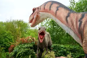 Chupacabra