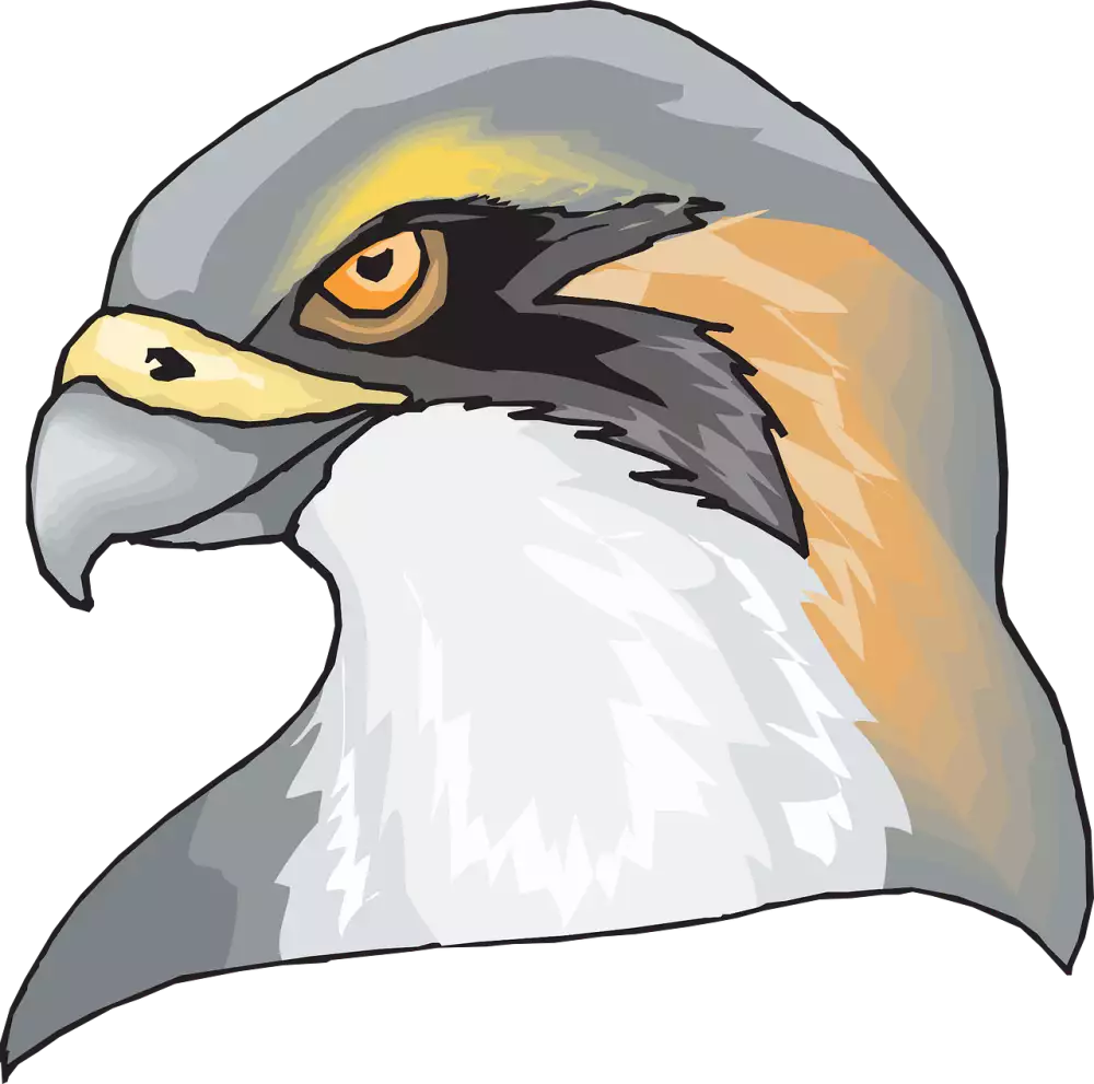 Dravci