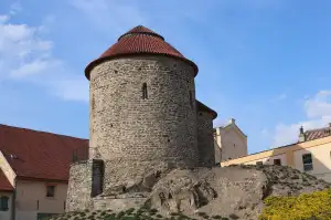 Musil Znojmo